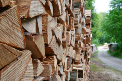 Logs for sale in West Sussex