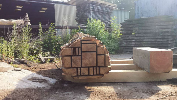 Timber Supplies Ready for Air Drying - Cut Trees