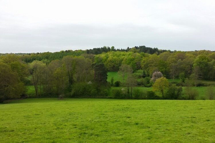 Balcombe Estate The Estate