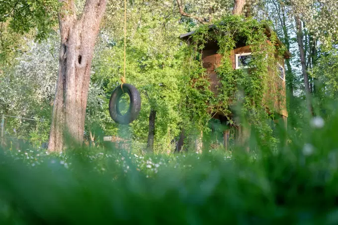 Tyre Swing in Rural Garden - BS